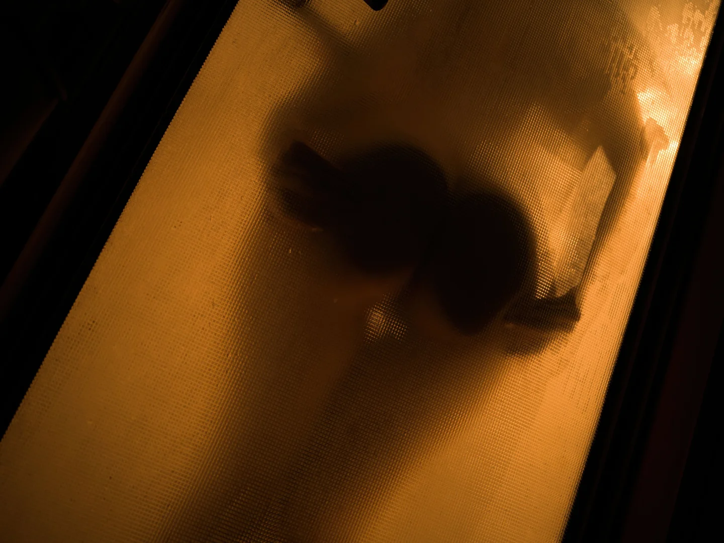 浅安安 - No.028 居家日 [94P-2.23GB]  tg@simisebaisi 【丝足阁】068.webp